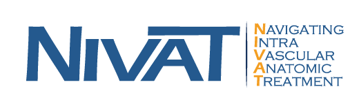 Nivat Logo